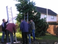 Weihnachtsbaum 017