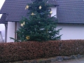 Weihnachtsbaum 018
