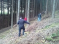 Holz holen11