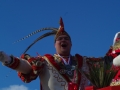 Karnevalszug 014
