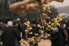 DSCF4972